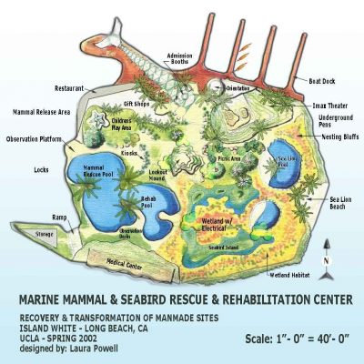 Island White – A Marine Mammal & Seabird Rescue Center