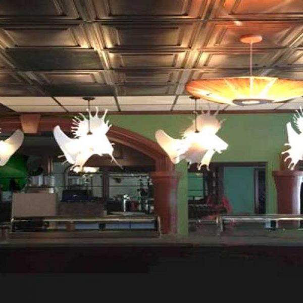 Bar-Fish-Lights.psd