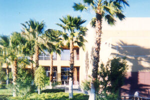 Desert-Sun-1_1