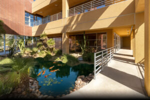 Desert Courtyard with Modern Architecture