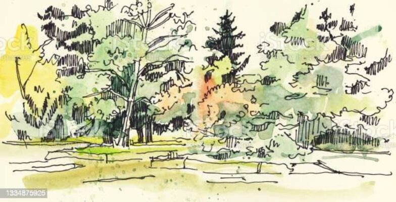 Summer landscape. Drawing in watercolor and ink. Hand-drawn illustration.